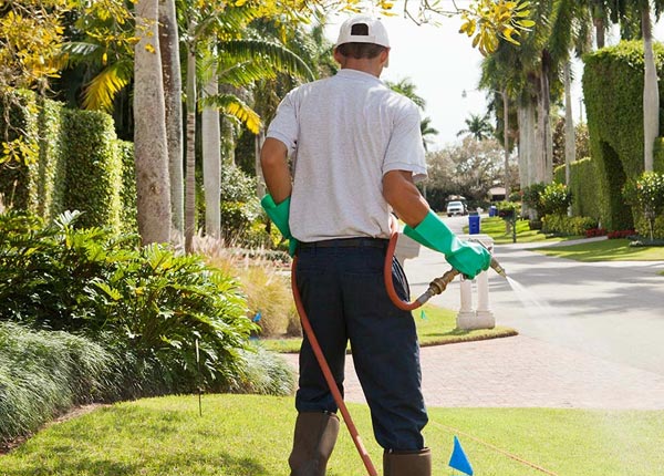 About Allen KS Pest Control